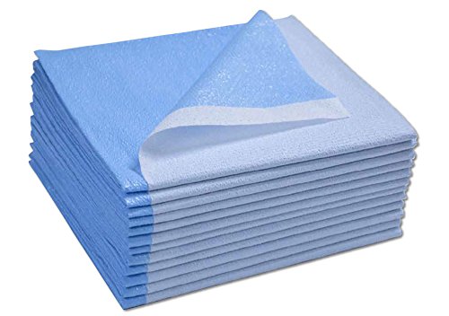 Disposable Drape Stretcher Sheets Tissue/Poly 40"x90" Blue 50/Case
